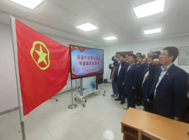 bw必威西汉姆联官方网站团委召开2021年度专题组织生活会(图5)