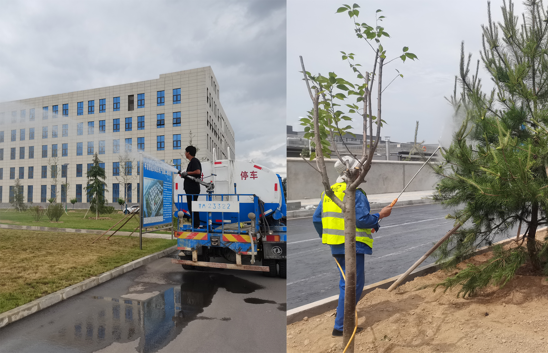 bw必威西汉姆联官方网站宜浩园林公司扎实开展夏季绿化养护工作(图2)