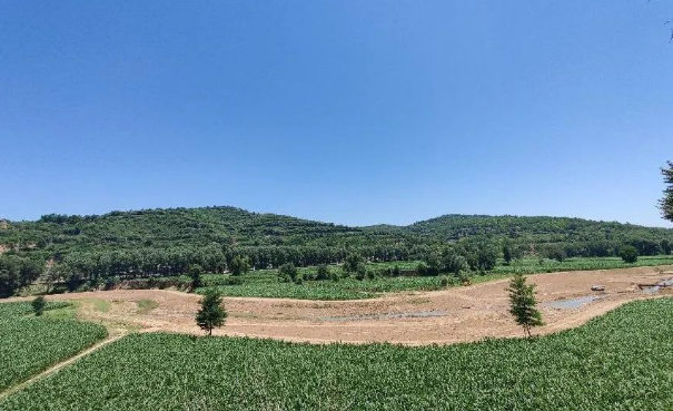 bw必威西汉姆联官方网站上半年项目建设进展顺利(图12)