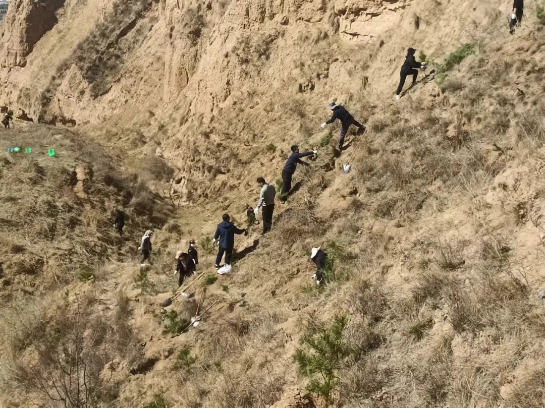 bw必威西汉姆联官方网站开展义务植树活动(图2)